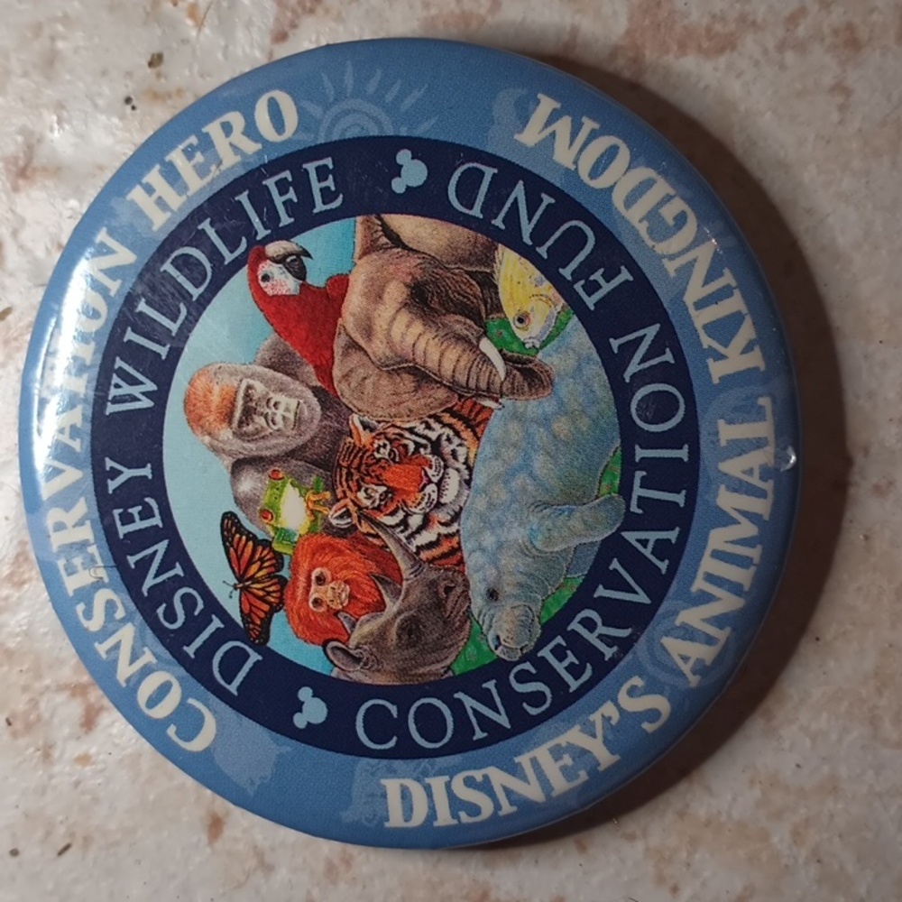 Disney animal kingdom pin